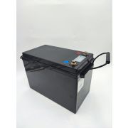 Аккумулятор 24 в 100 ач (Li -lion )