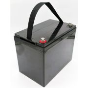 Аккумулятор LiFePO4 24в 50Ач с BMS 60А c Bluetooth